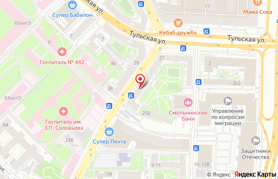 Карта: Новгородская 25