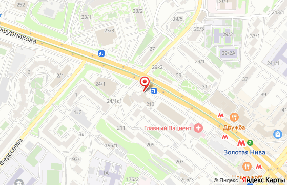 Карта: Новосибирск, ул. Бориса Богаткова, 213 К1