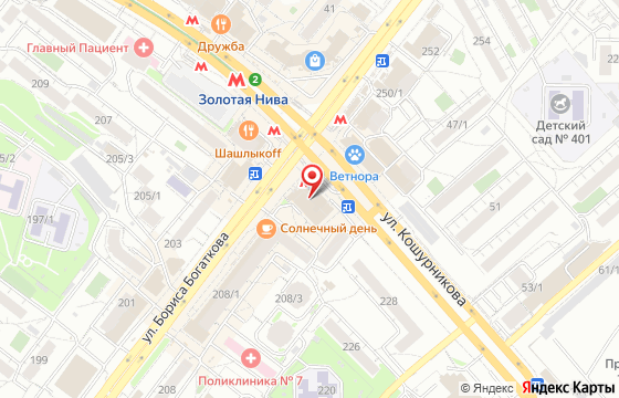 Карта: Новосибирск, ул. Бориса Богаткова, 210/1
