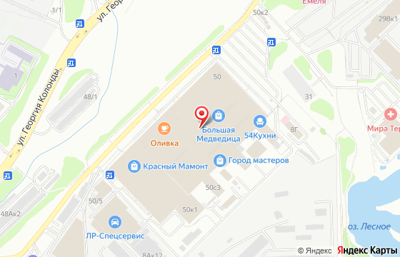 Карта: г. Новосибирск, Светлановская, 50