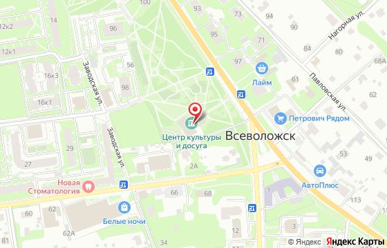 Карта: Всеволожск, Колтушское шоссе, 110