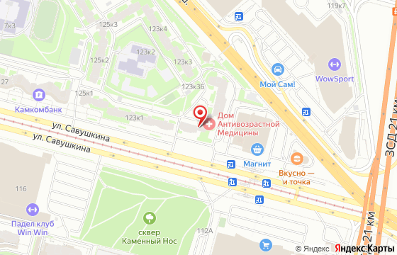 Карта: ул. Савушкина д. 121