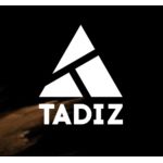 логотип компании ТАДИЗ