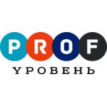 логотип компании PROFYровень